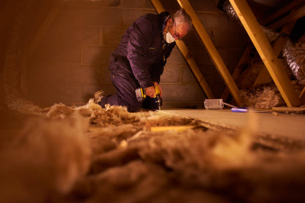 Best Eco-Friendly Insulation in Ferron, UT